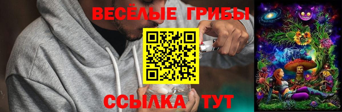 Галлюциногенные грибы Cubensis  Вход с VPN  Белово 